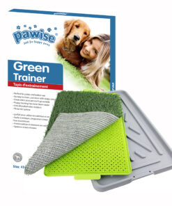 Pawise Green Trainer (43x68)cm