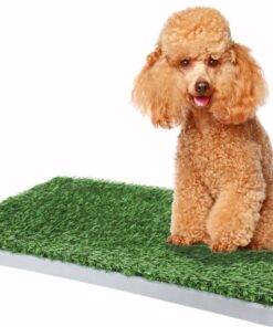 Pawise Green Trainer Replacement Grass Mat