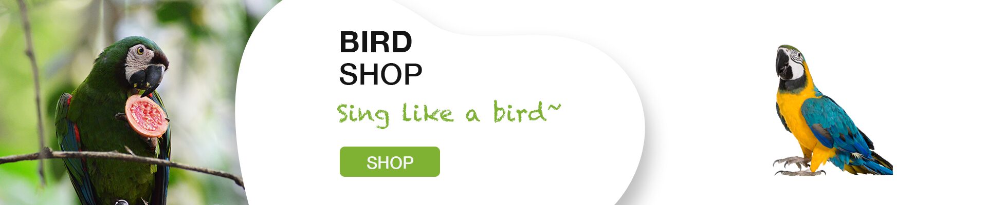 Shop for Bird Product
