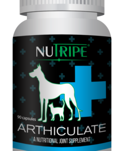 Nutripe Supplements Arthiculate
