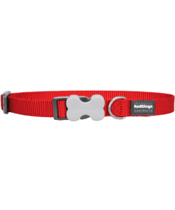 Red Dingo Bucklebone Classic Collar - Red
