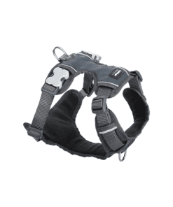 Red Dingo Padded Harness - Gray