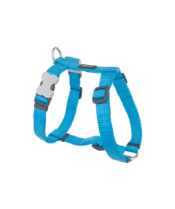 Red Dingo Classic Harness - Turquoise