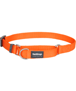 Red Dingo Martingale Half Check Collar - Orange