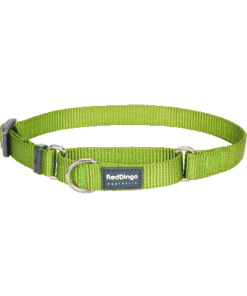 Martingale Collar Classic Lime Green