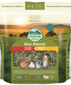 Oxbow Hay Blend - Timothy/Orchard for Small Animals