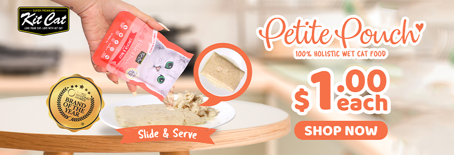 Kit Cat Petite Pouch Singapore